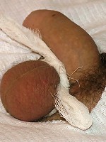 Doctor Helps Twink To Cum^crazy Doctors Gay Porn Sex XXX Gay Pics Picture Photos Gallery Free
